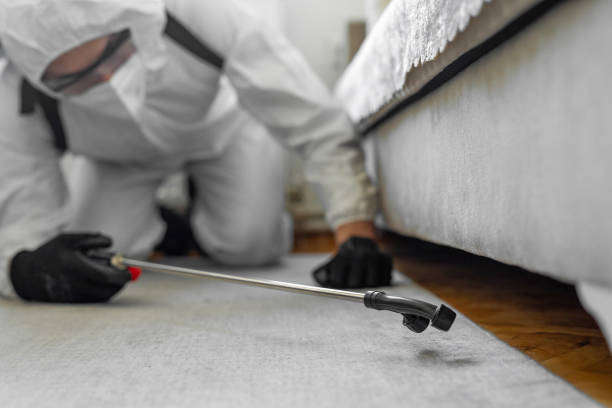 Professional Bed Bug Control technician working in Lake Ronkonkoma, NY
